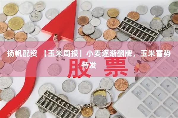 扬帆配资 【玉米周报】小麦逐渐翻牌，玉米蓄势待发