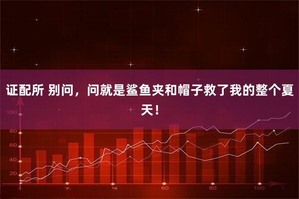 证配所 别问，问就是鲨鱼夹和帽子救了我的整个夏天！