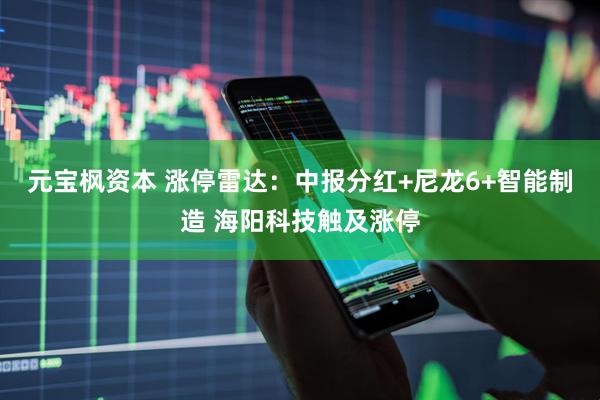 元宝枫资本 涨停雷达：中报分红+尼龙6+智能制造 海阳科技触及涨停