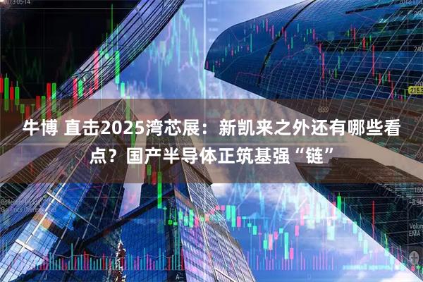 牛博 直击2025湾芯展：新凯来之外还有哪些看点？国产半导体正筑基强“链”