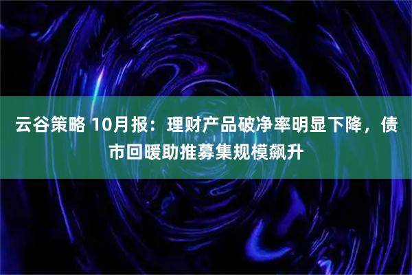 云谷策略 10月报:理财产品破净率明显下降,债市回暖助推募集规模飙升