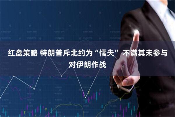 红盘策略 特朗普斥北约为“懦夫” 不满其未参与对伊朗作战